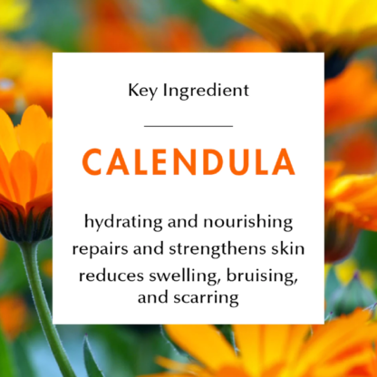 Kuumba Made Calendula Coconut Oil_ingredients